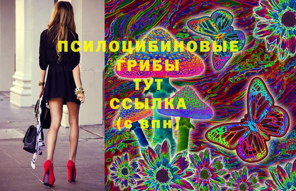 jwh Алзамай